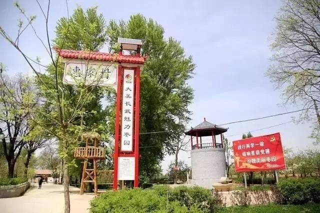 我在长武刚刚好，何必羡慕北上广