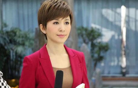 央视主持人欧阳夏丹婚姻状况,央视名嘴欧阳夏丹近来工作情况