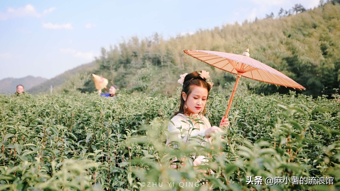 最早的抹茶是什么茶做的,日本抹茶源于中国唐宋的点茶法