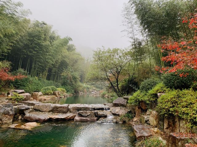 宜兴竹海自然风景图片,清新的竹林风景图片
