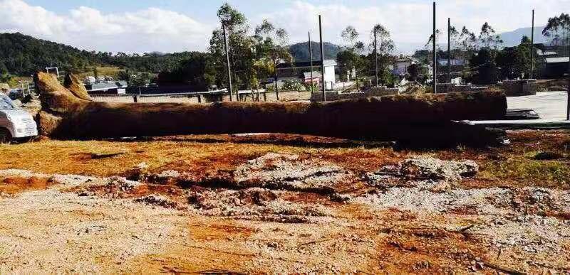 金丝楠木阴沉木和枯木有什么区别,金丝楠木阴沉木为什么夜里香味重