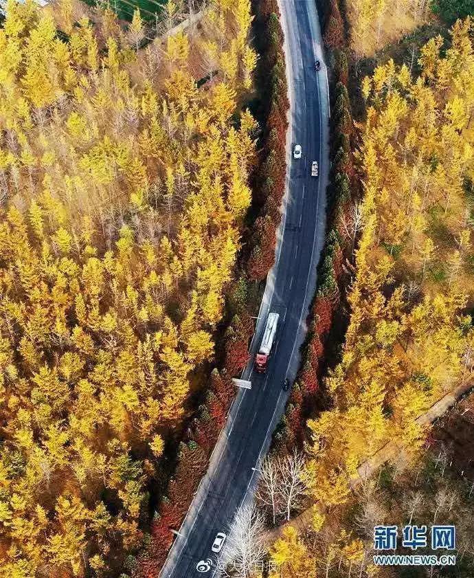 《生僻字》火遍全网，山东这些生僻地名怕是再也藏不住了！