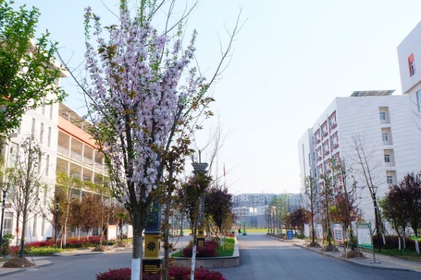 巴中市第四中学西华山春游,巴中高中春游