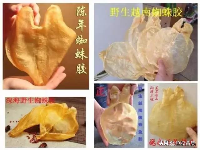 什么产地蜘蛛胶比较好,正宗印尼蜘蛛胶