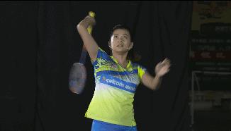 金秋诗画（学羽精华33.发力技巧）