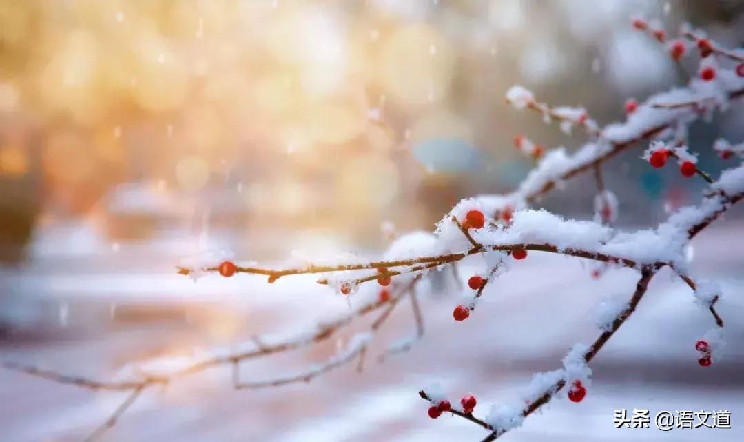 这20位诗人用30首诗词,写尽了冬天的美