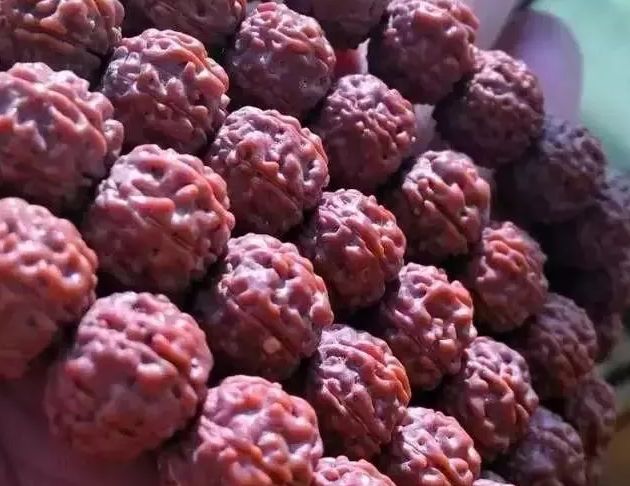 清理小金刚菩提的方法与技巧图片,小金刚菩提清理