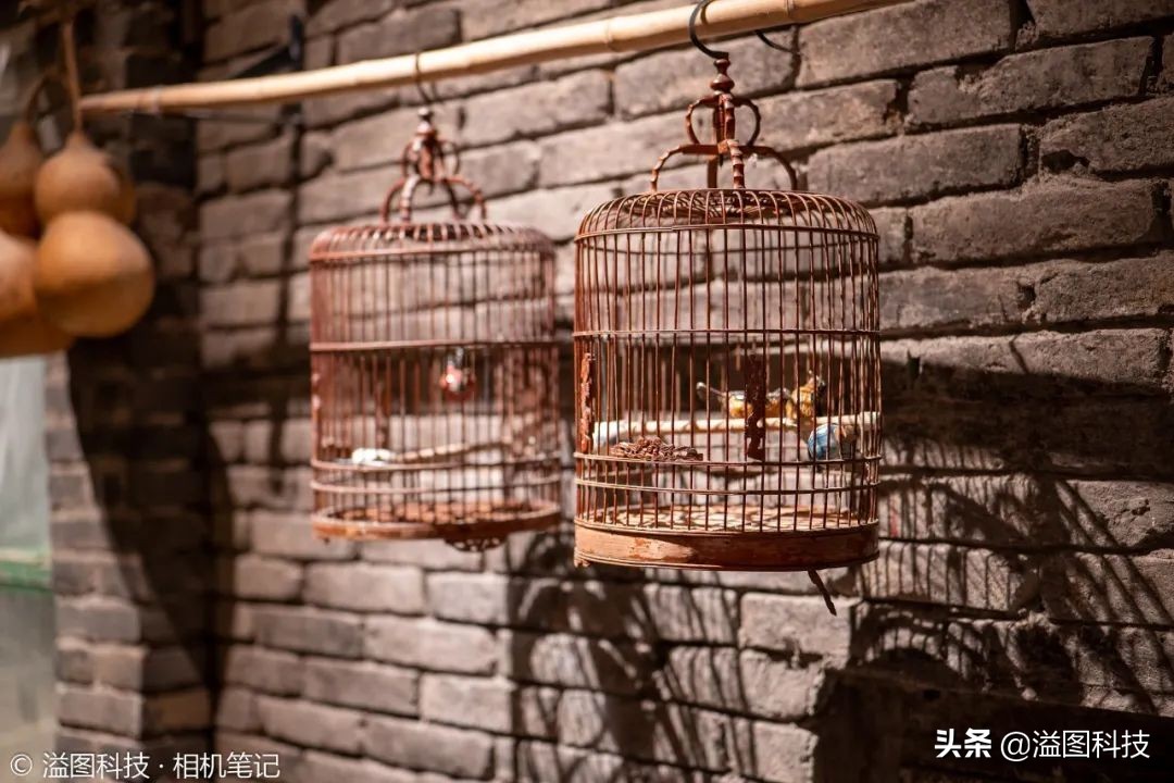 首发价2299元松下50/1.8镜头试用体验