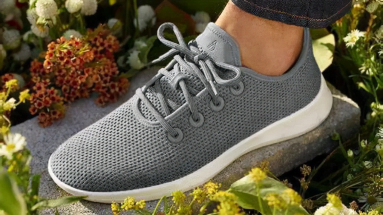 allbirds投资价值,allbirds创始人