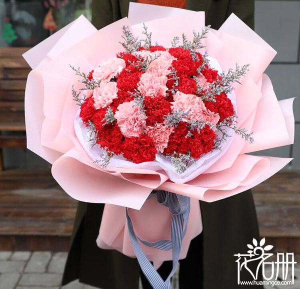 母亲节为什么要送康乃馨,母亲节为什么要送老婆礼物