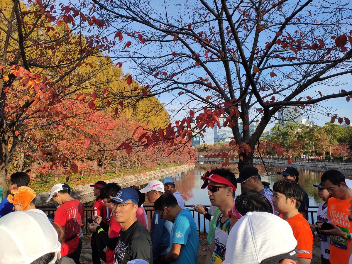 日本大阪马拉松,日本大阪马拉松赛道难度