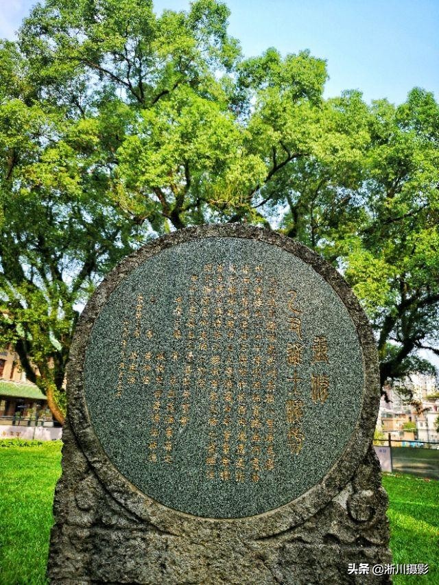 中国最美丽的校园照片,中国最美丽的校园中山大学南校区