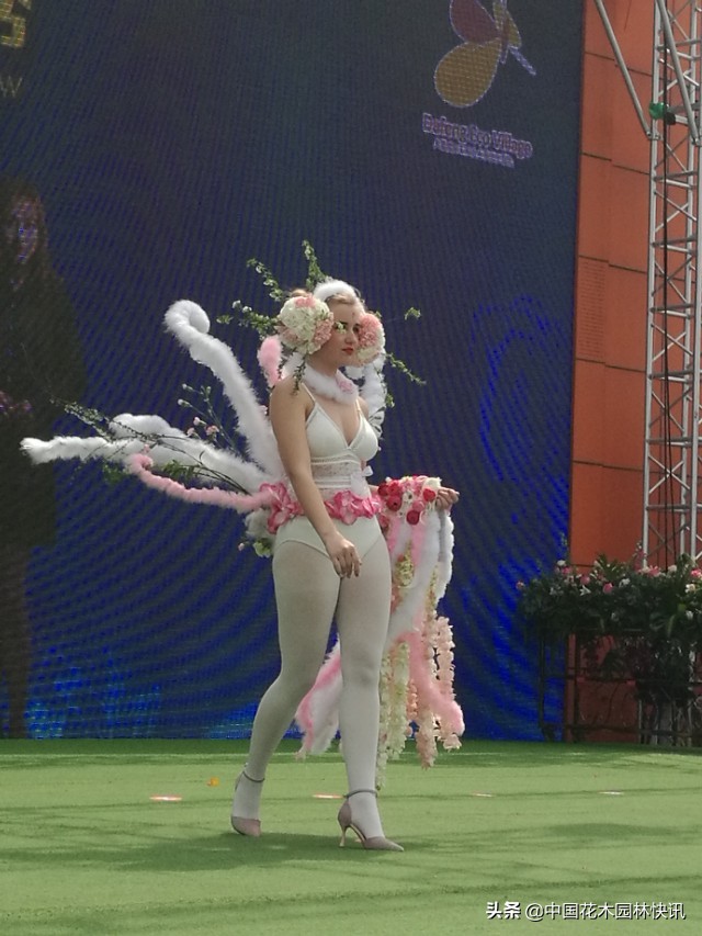 荷兰花海花艺节,荷兰花海国际花艺