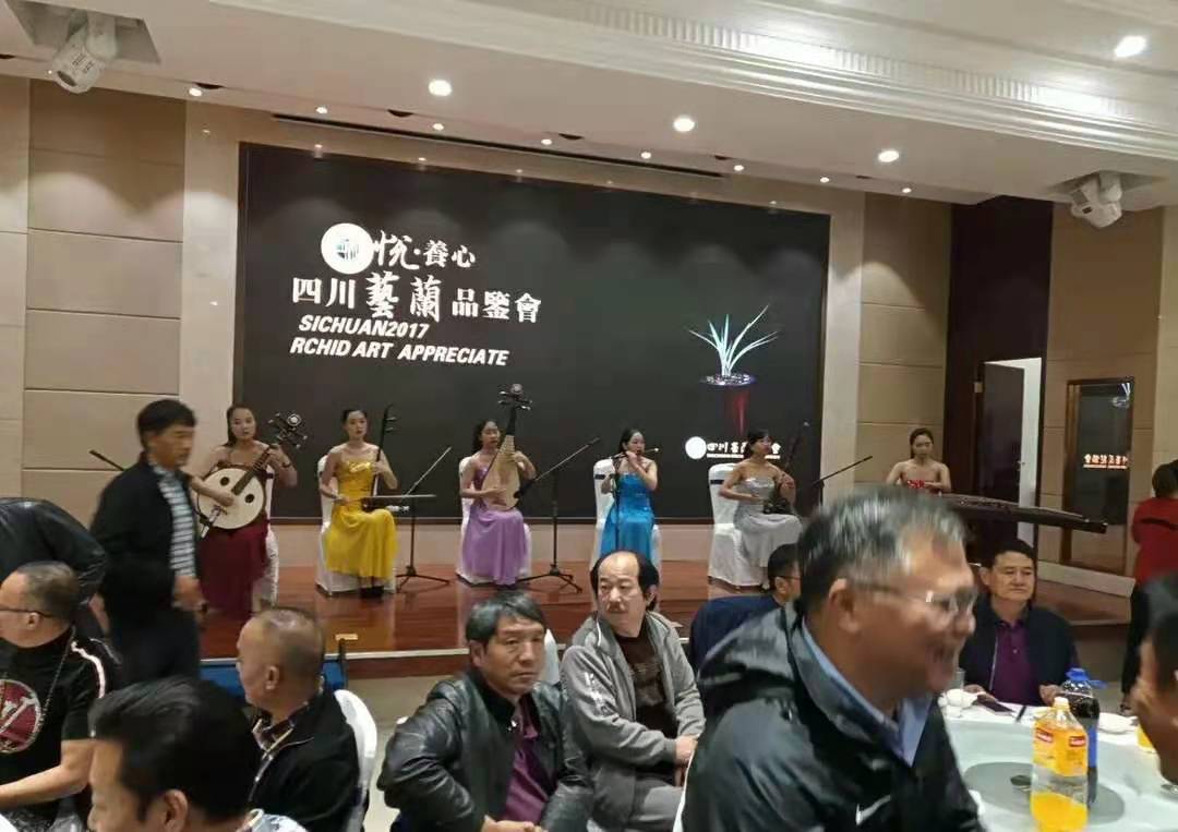 四川艺兰品鉴会上一盆标价高达1680万春剑多艺,曾轰动整个兰界