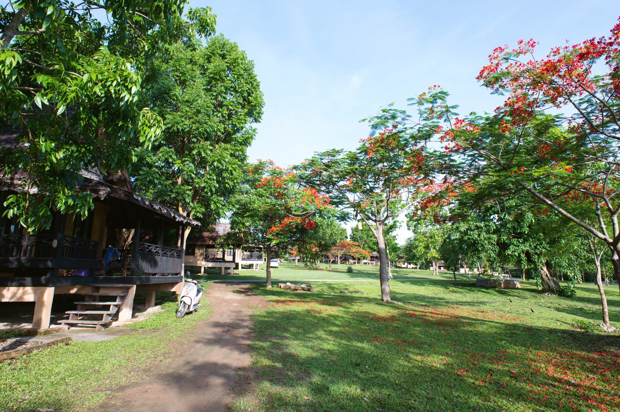 泰国的网红旅游县，私藏着一座座田园式酒店，诗意的生活在这演绎