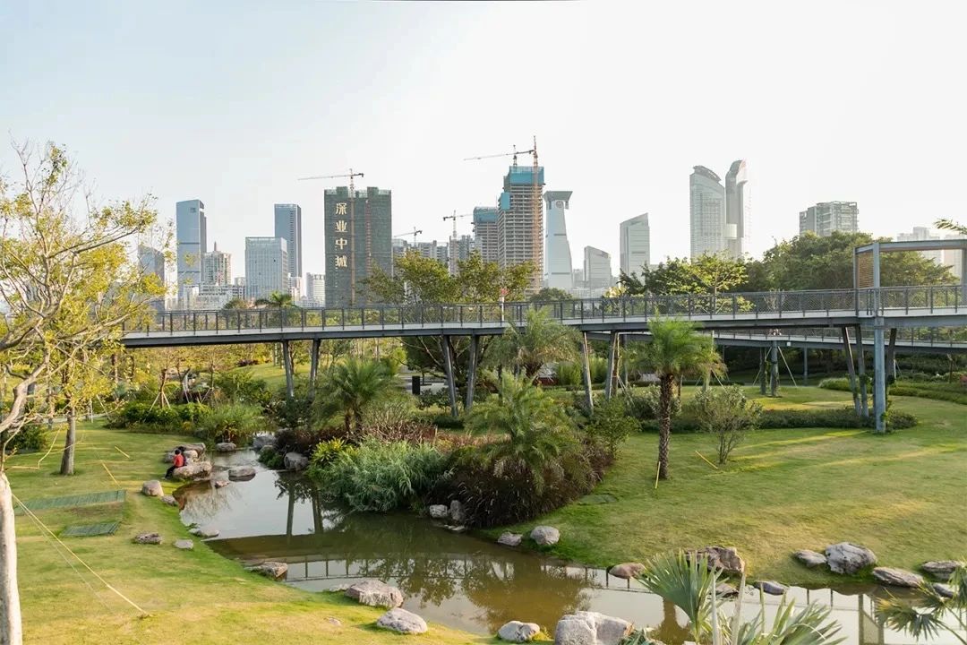 坐11号线去深圳看海,11号线碧海湾看海