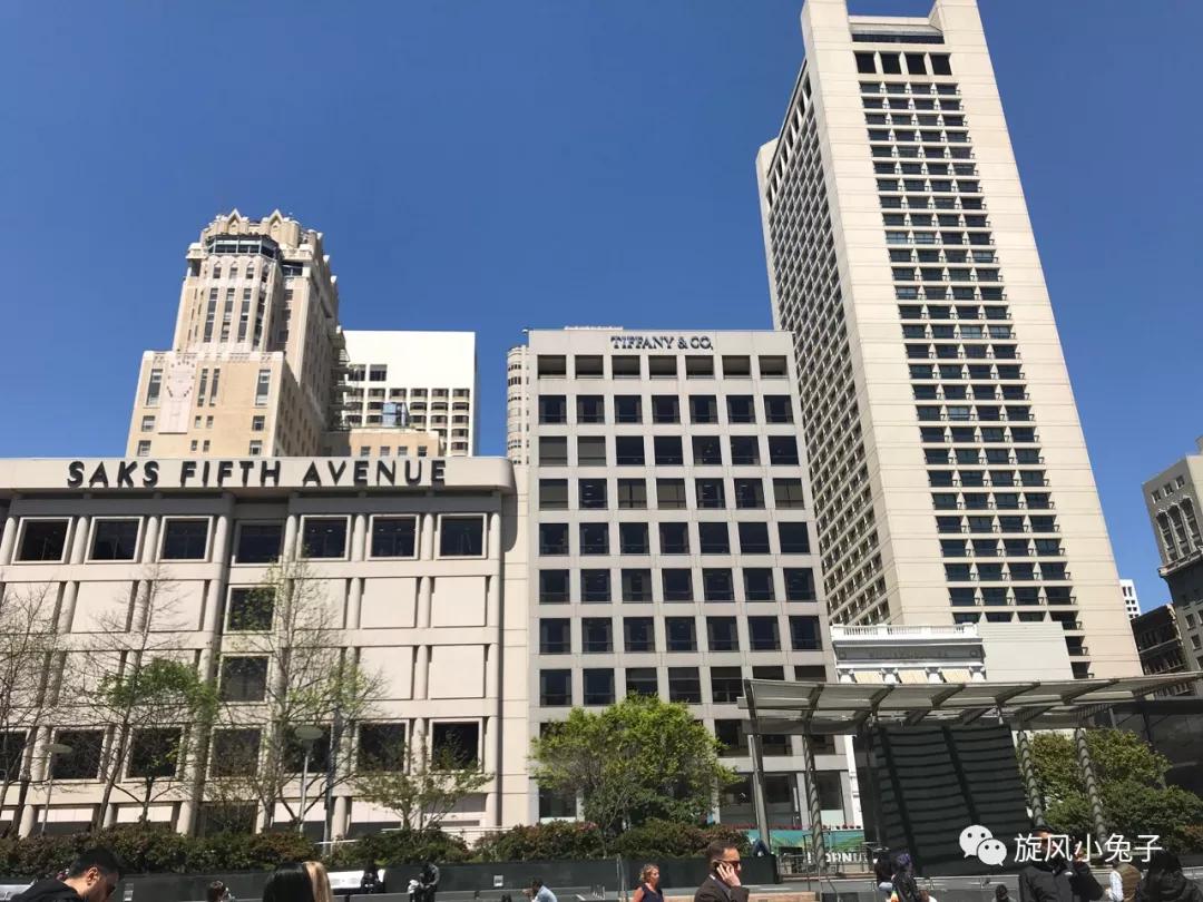 加州沿海1号公路自驾游散装系列（一）：阳光北加的金山依旧