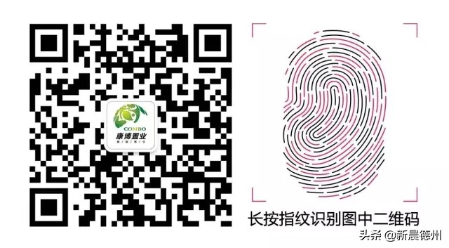 精工匠筑悦鉴美好——康博公馆科技工法区华美绽放