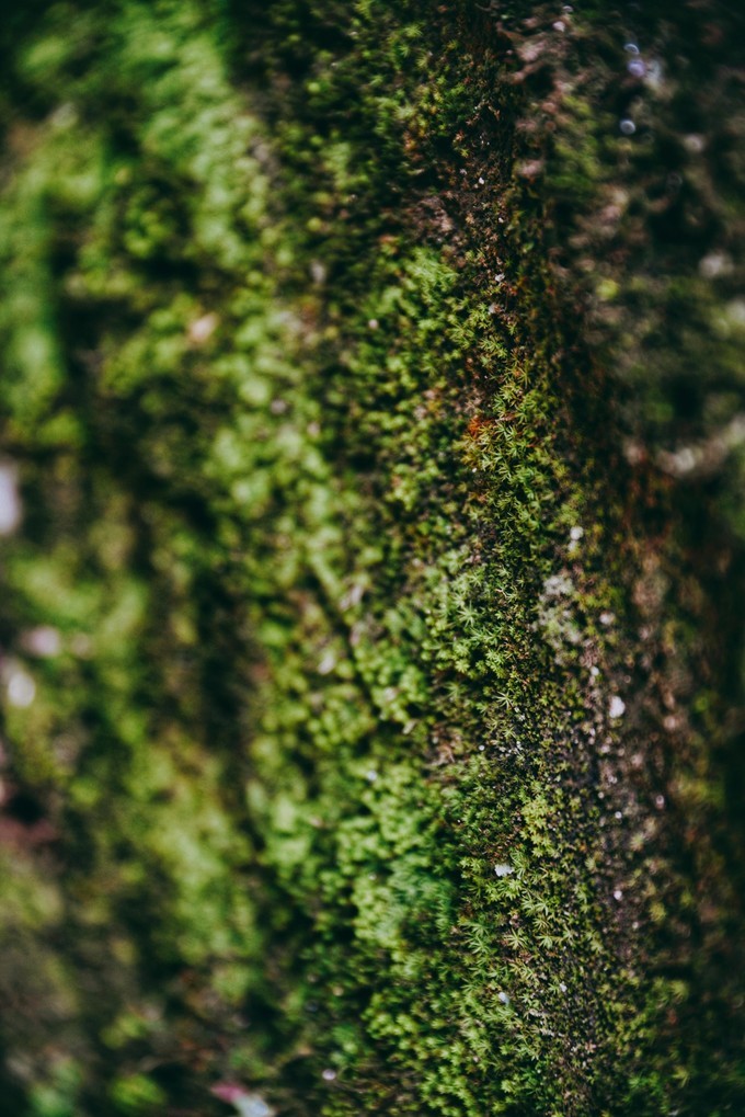 美西大峡谷羚羊谷,羚羊谷之美令人陶醉