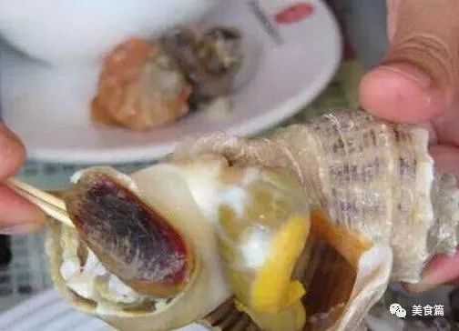 吃20斤海螺,吃20斤大海螺