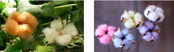 你也可以绝对专业，教你看自己穿的衣服是什么纱线、什么成分做的