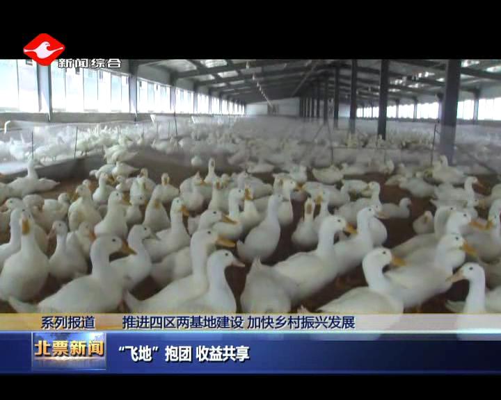 北票“飞地”抱团收益共享