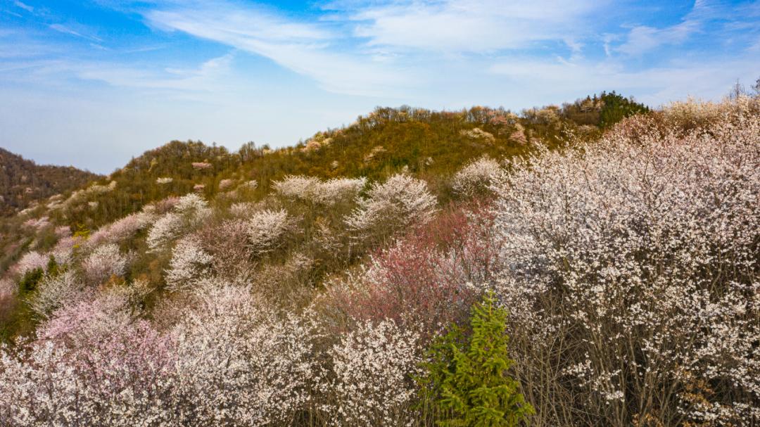 鍐滄皯鏃ユ姤涔℃潙鎸叴鎶ラ亾,鍐滄皯鏃ユ姤绯诲垪鎶ラ亾