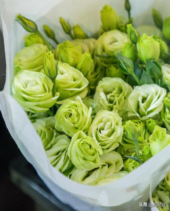 超便宜！成都铁轨下的花市5元买回一个春天！