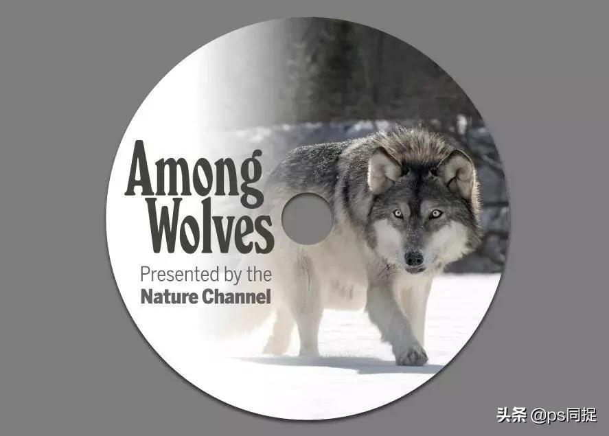 jpg图片批量裁切,如何快速批量裁切图片