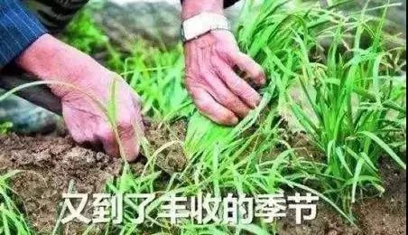 猫眼急眼了！流血上市几人会埋单？