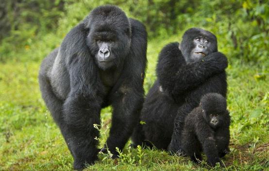 世界最好的公园门票价格,世界最牛公园门票