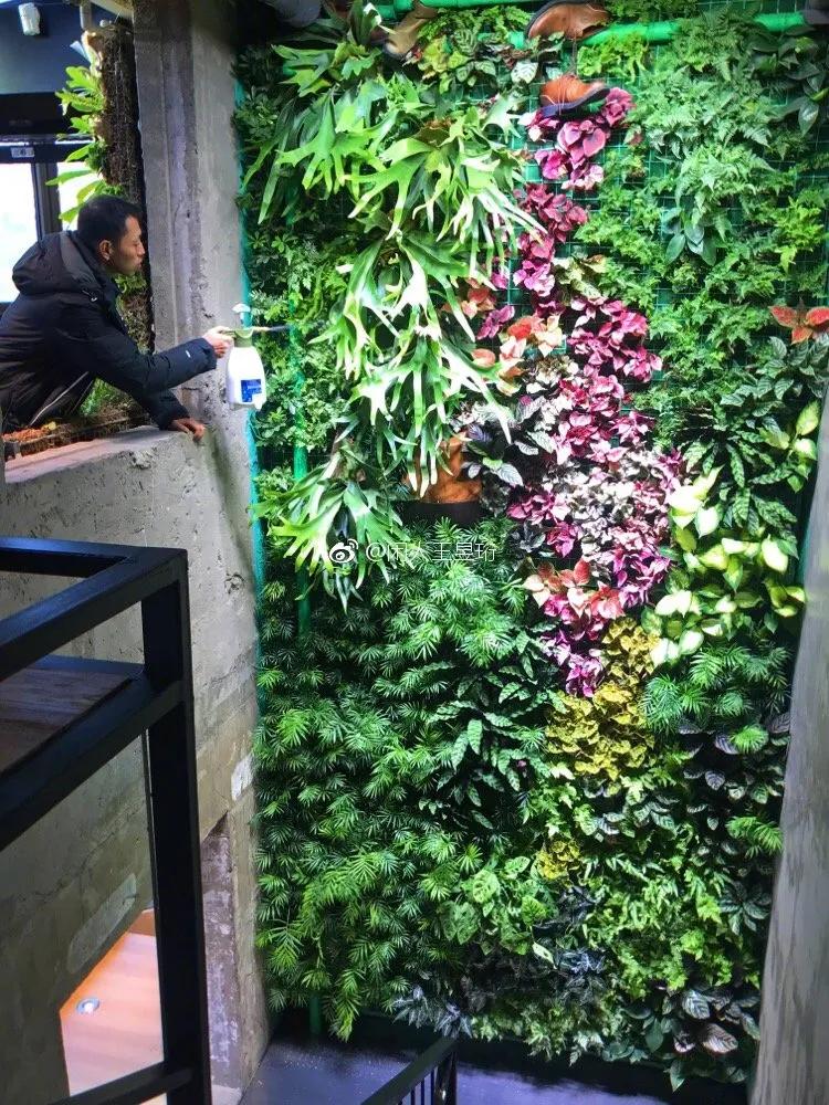 王昱珩上学经历,清华毕业的王昱珩