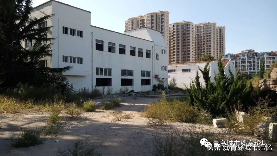 青岛的葡萄酒厂,1984年青岛的葡萄酒公司