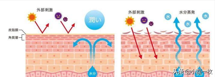 熬夜脸蜡黄暗沉怎么调理,经常熬夜脸色蜡黄喝什么汤水调理