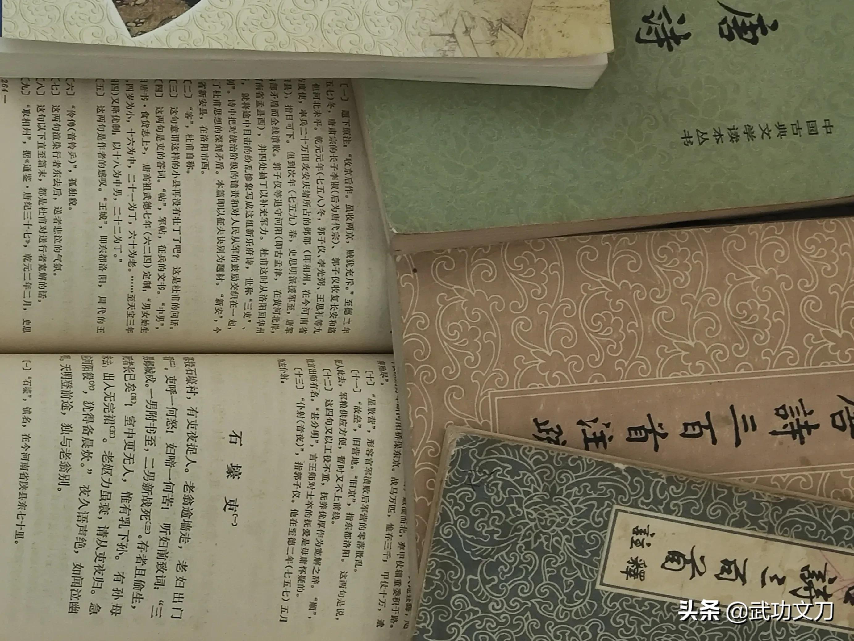 康震教授评石壕吏视频,康震评石壕吏观点