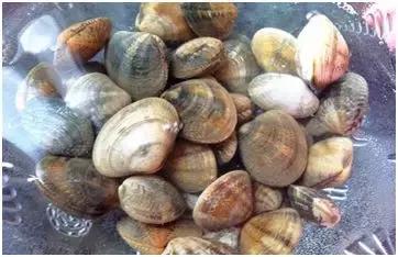 发家致富好项目1万元以下投资,致富项目10万以下