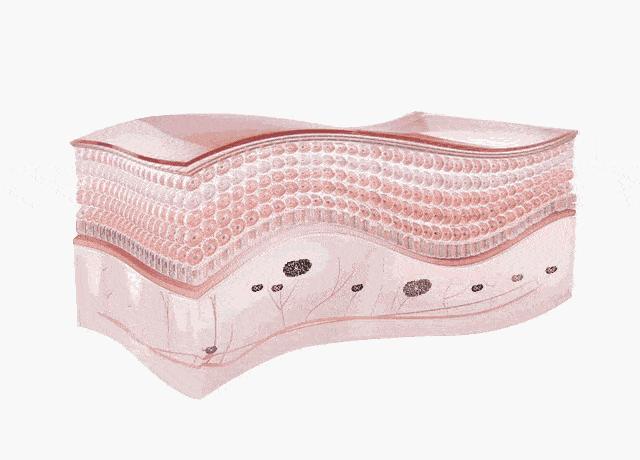 国货眼霜效果好又实惠,国货好用去皱眼霜