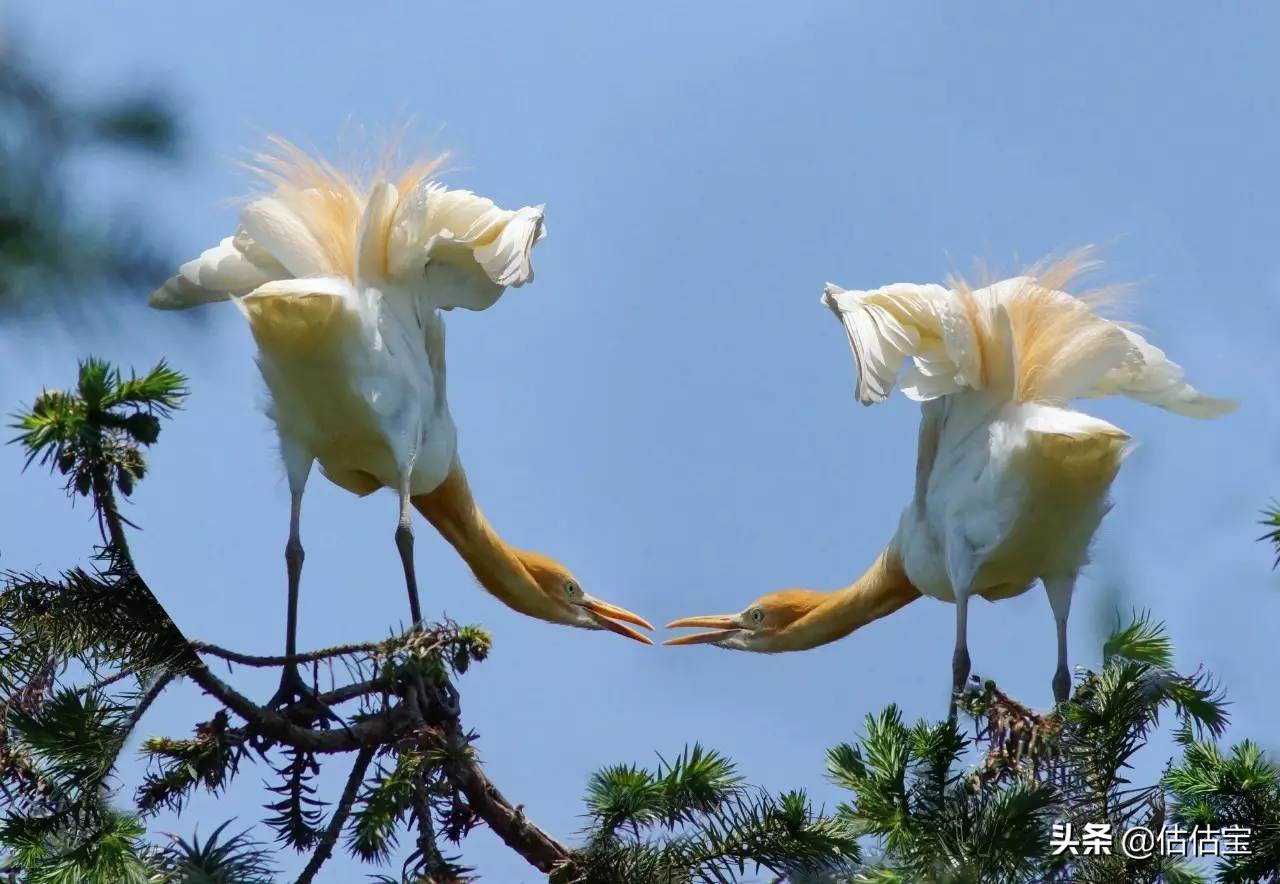 环保科普塑料污染知多少,环保科普环评这些事儿你都知道吗