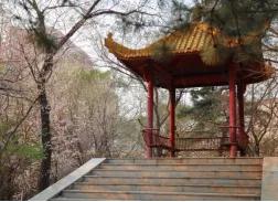 沈阳音乐学院院校代号,辽宁三所高校