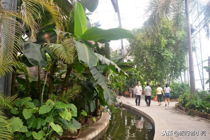 天津旅游必去十大景点推荐理由,天津旅游必去十大景点排行榜