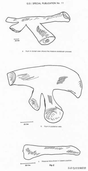 史上最大的超巨型恐龙,最新世界上最大的巨型恐龙