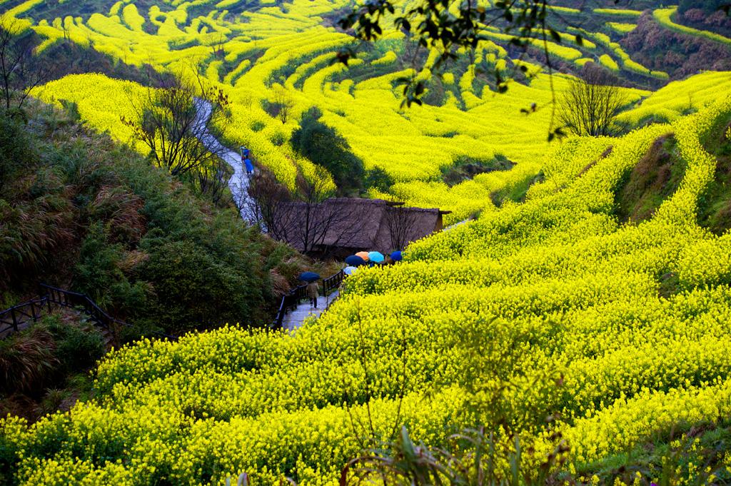 这个春天，全民只能换个方式看世界。