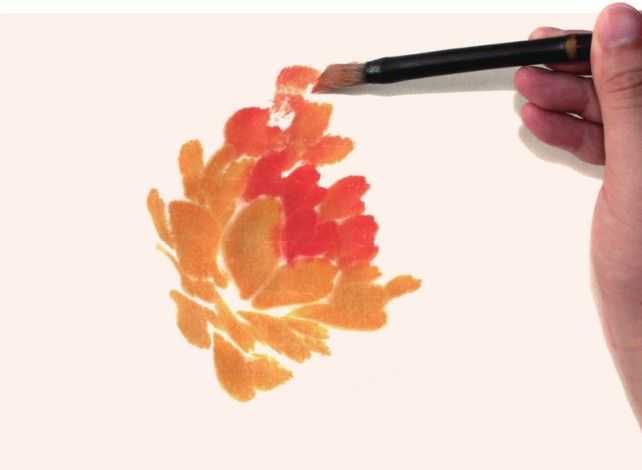 国画牡丹和石头的画法图片,初学国画牡丹花头画法图解