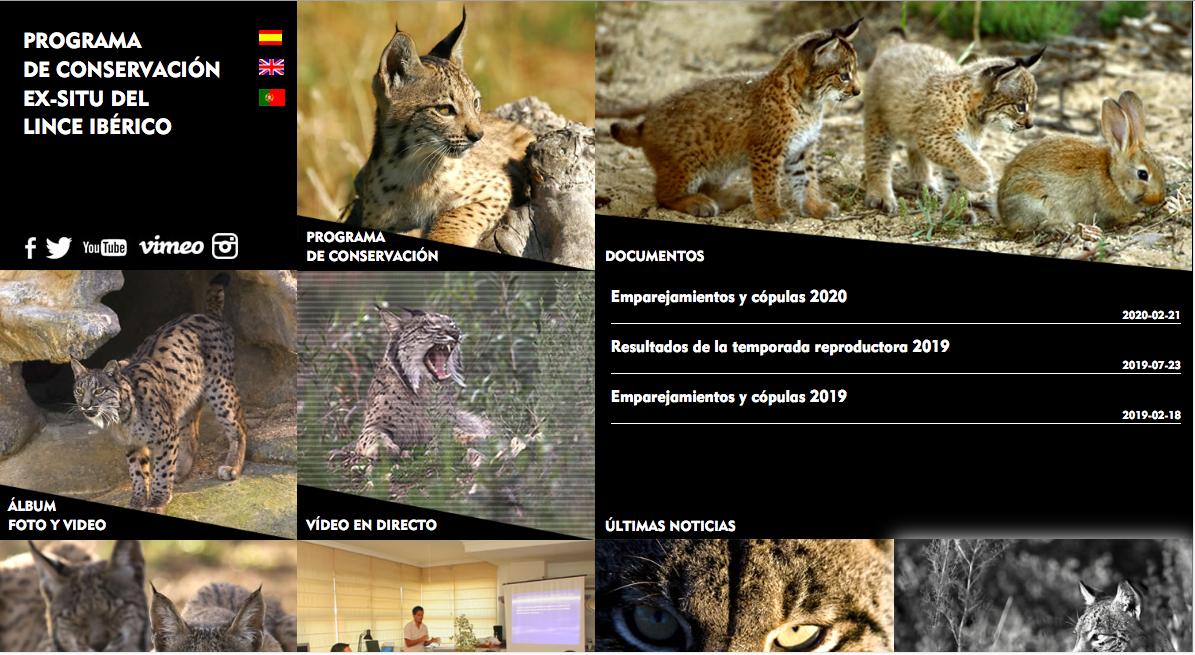 灞辩尗鐚炵寔,澶у瀷灞辩尗鐚炵寔