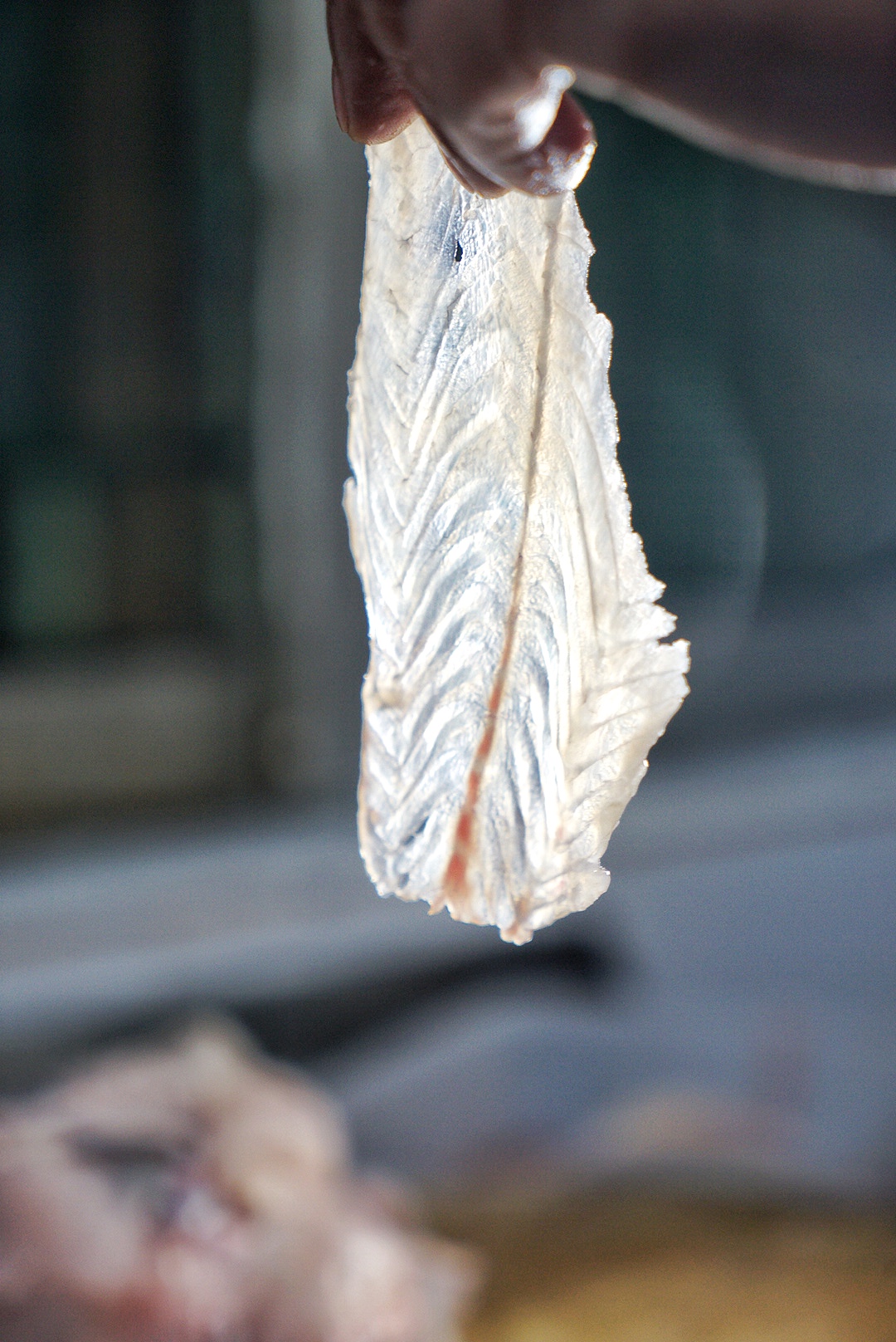 花都首家大理酸菜鱼专门店,云南空运酸菜,活鱼现煮,酸辣好过瘾