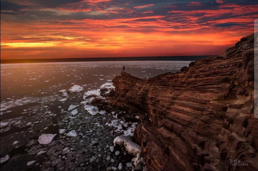 忠忠直直，终须乞食，奸奸狡狡，朝煎晚炒。于谦经典诗词书法作品