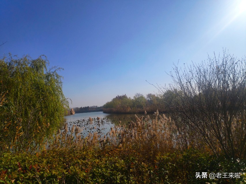 徐州潘安湖旅游攻略,大美潘安湖美景