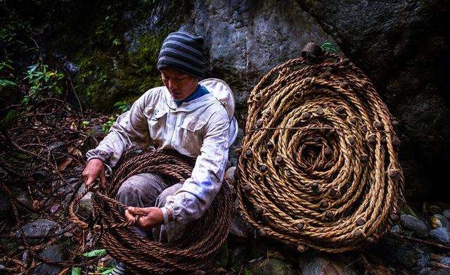 喜马拉雅山采蜜人完整版,喜马拉雅山脚下的采蜜人