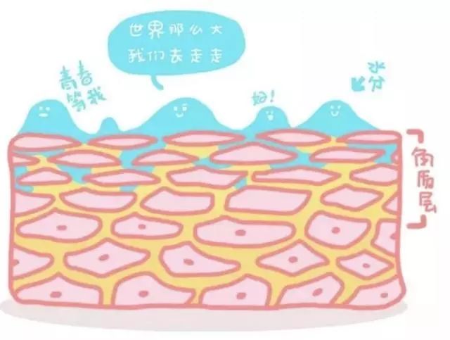 盲目护肤只会让你的皮肤越来越糟,20岁以后你的护肤应该更加严谨了