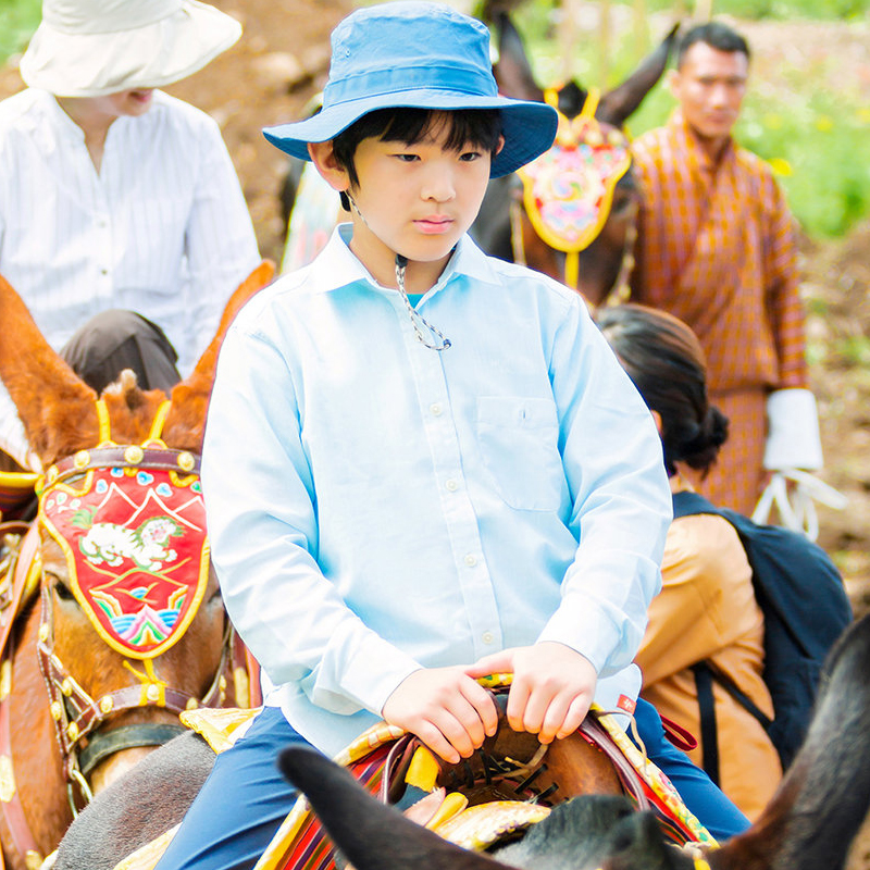 日本皇室17岁王子,日本皇室唯一的男孩